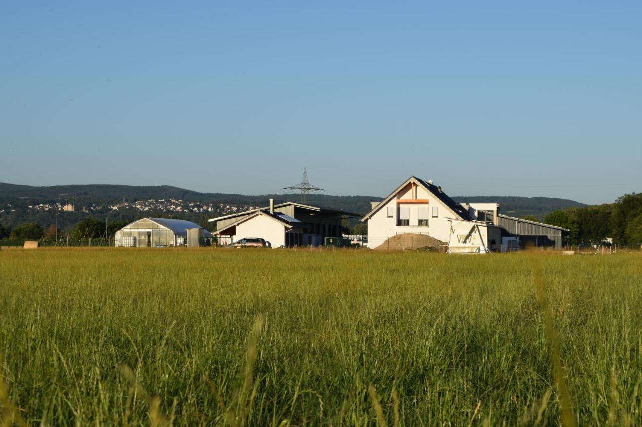 Einladende Ferienwohnung Auf Bauernhof In زينتسيغ المظهر الخارجي الصورة