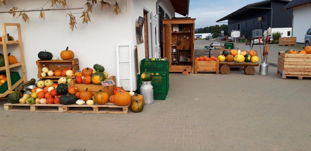 Einladende Ferienwohnung Auf Bauernhof In زينتسيغ المظهر الخارجي الصورة