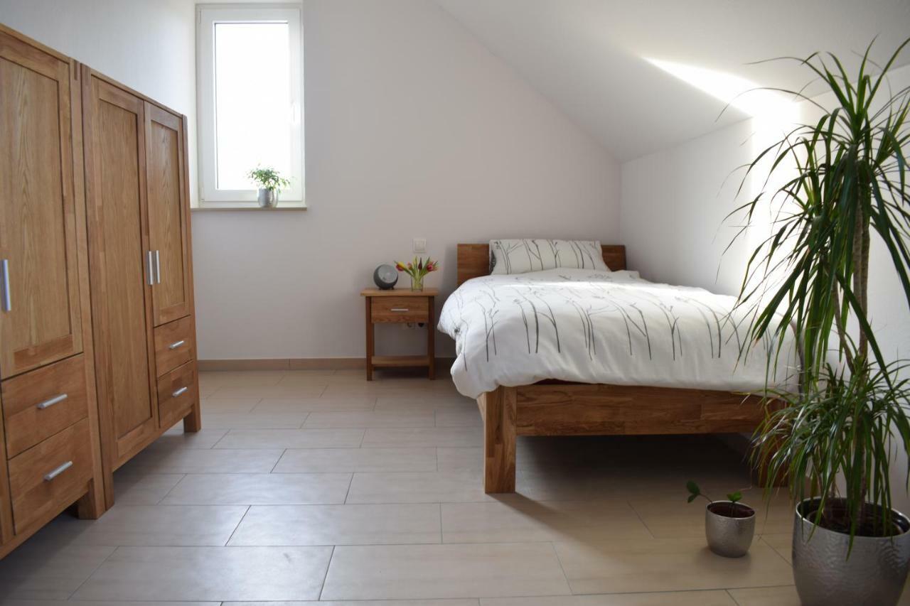 Einladende Ferienwohnung Auf Bauernhof In زينتسيغ المظهر الخارجي الصورة